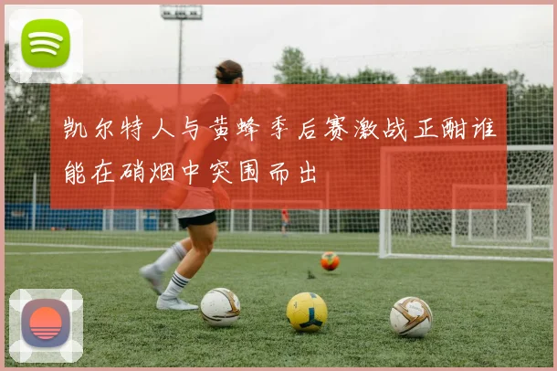 凯尔特人与黄蜂季后赛激战正酣谁能在硝烟中突围而出